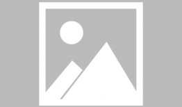 照明商店漫画解析,照明商店里的智慧之光